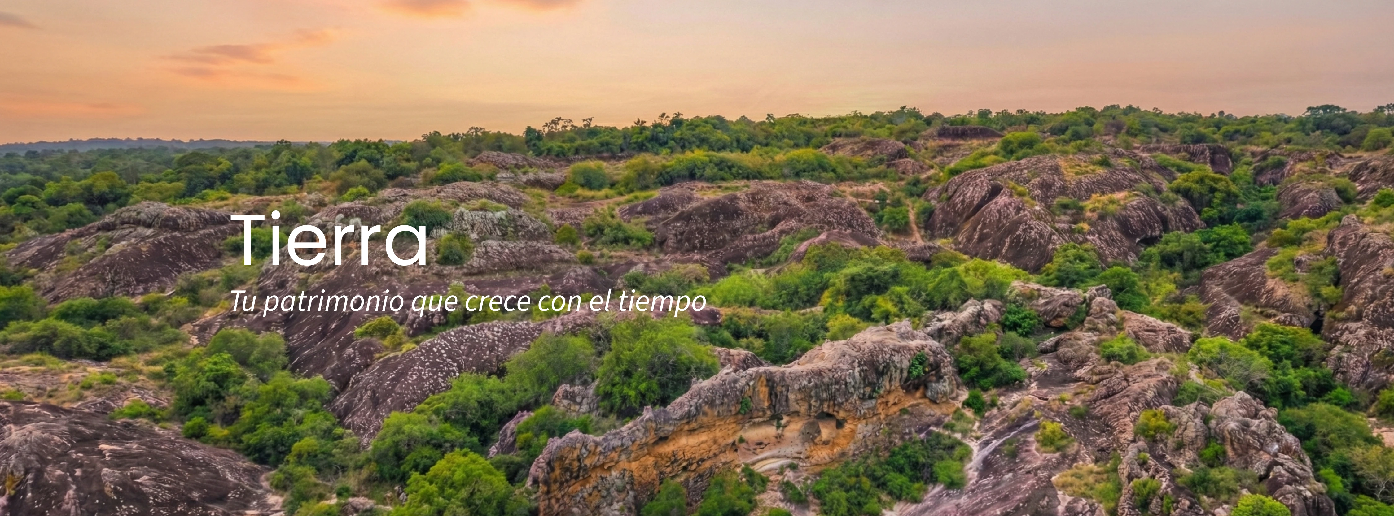 Tierra - Patrimonio que se construye con visión