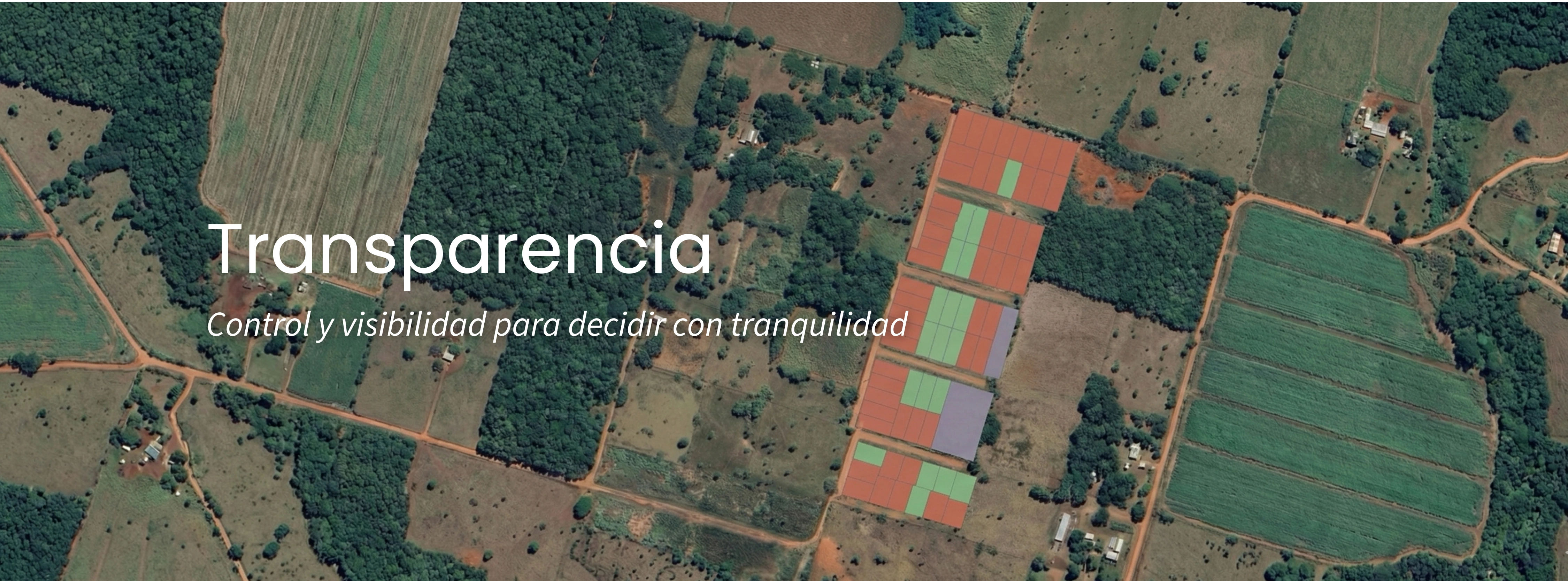 Transparencia Operativa